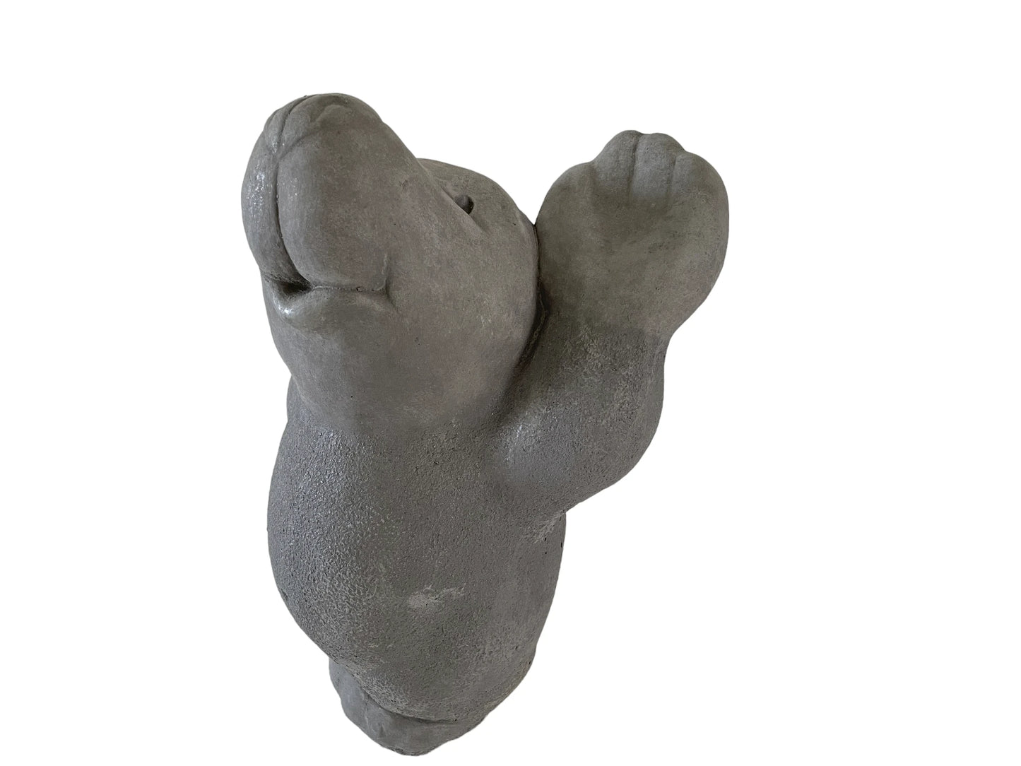 Maulwurf Hand hoch